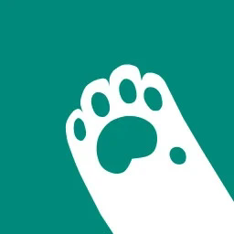 妙妙触控官方版