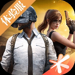 和平精英体验服免费版