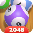 弹球不能停官方正版