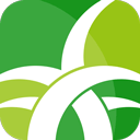 野草助手电视版