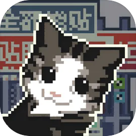 喵师傅你是干什么的