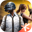 和平精英官方正版