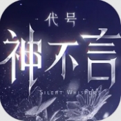 代号神不言