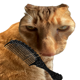 给猫梳毛Brush Jjaemu