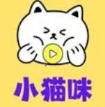 小猫咪TV电视版