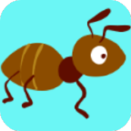 蚂蚁影视app