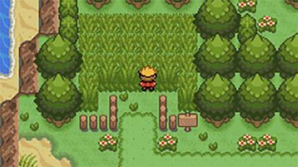 口袋妖怪釉色1.63版展示图