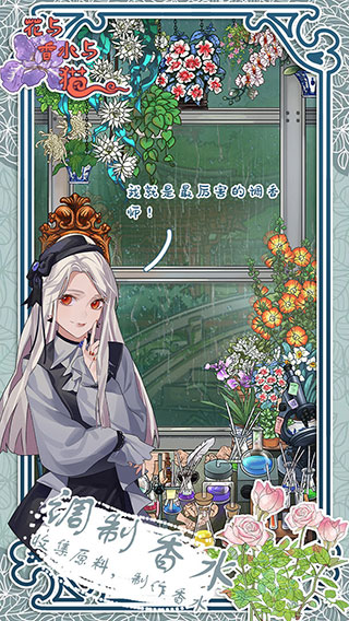 花与香水与猫展示图