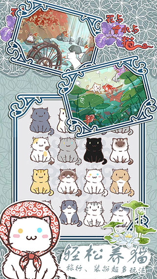 花与香水与猫展示图