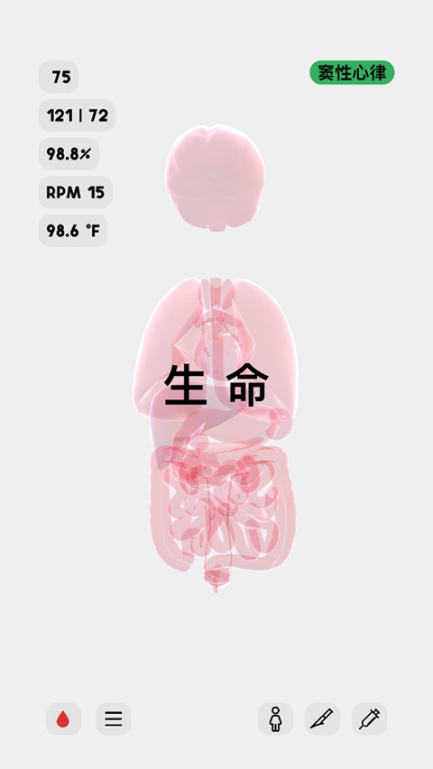 Life生命模拟器展示图