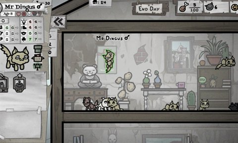 喵喵的结合展示图