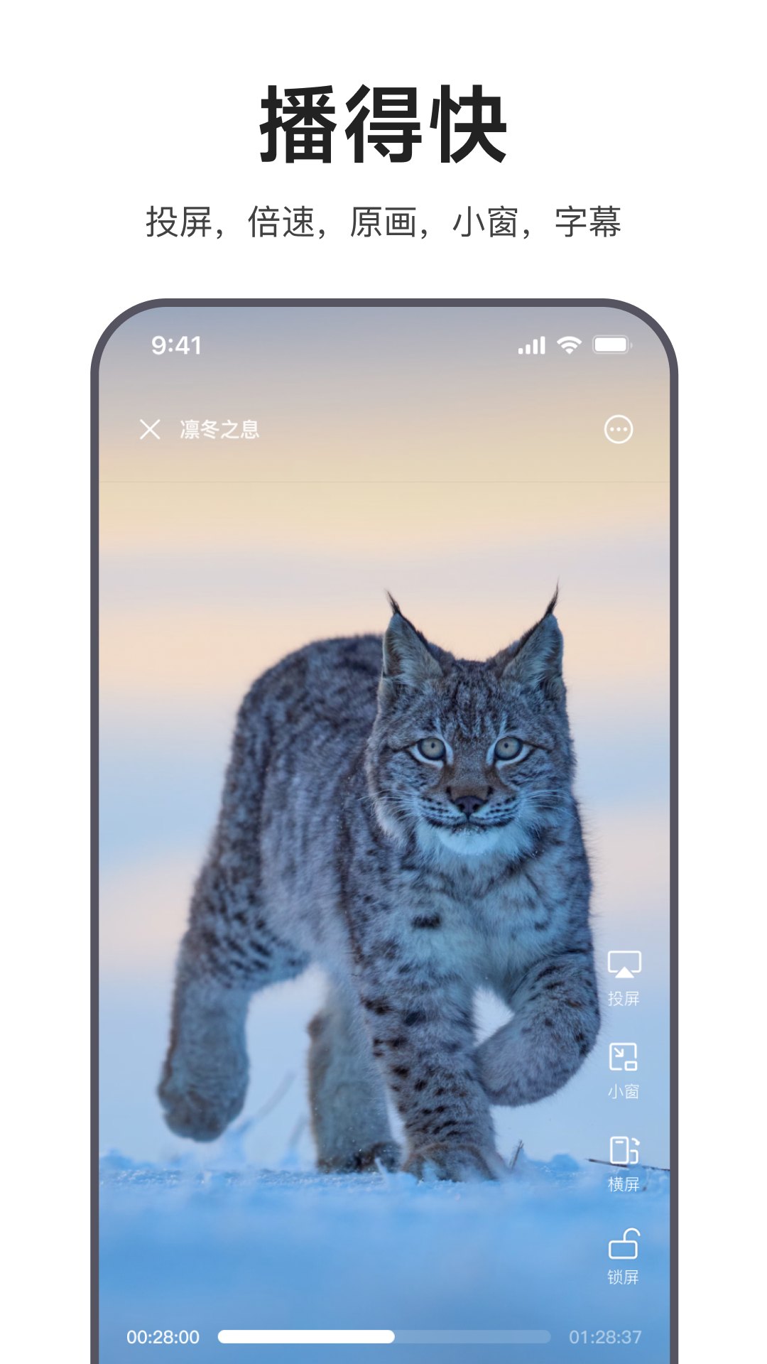 迅雷浏览器2.21展示图