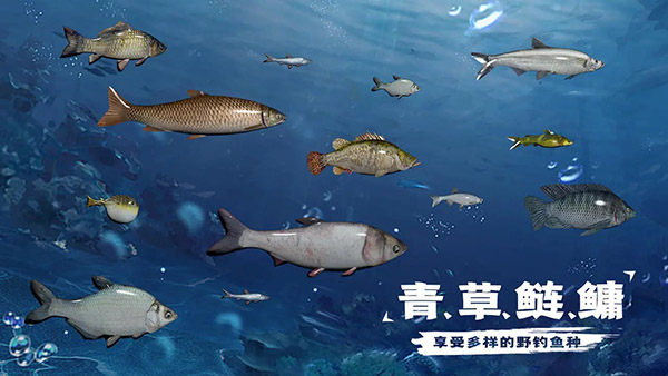 天天钓鱼2026展示图