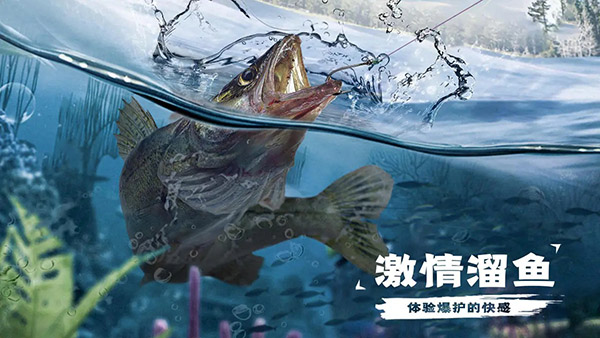 天天钓鱼2026展示图