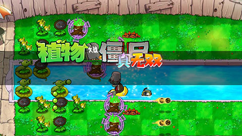 植物大战僵尸真无双版内置菜单展示图